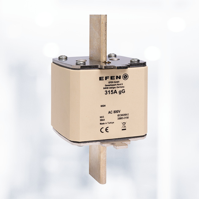 EFEN 熔断器NH-Si 2 100A gG AC800V As系列